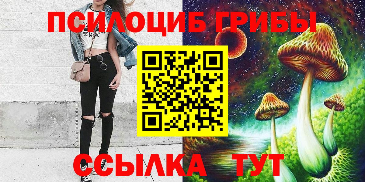 Городец  Галлюциногенные грибы MAGIC MUSHROOMS  как найти наркотики  Псилоцибиновые грибы мицелий  Вход с VPN 