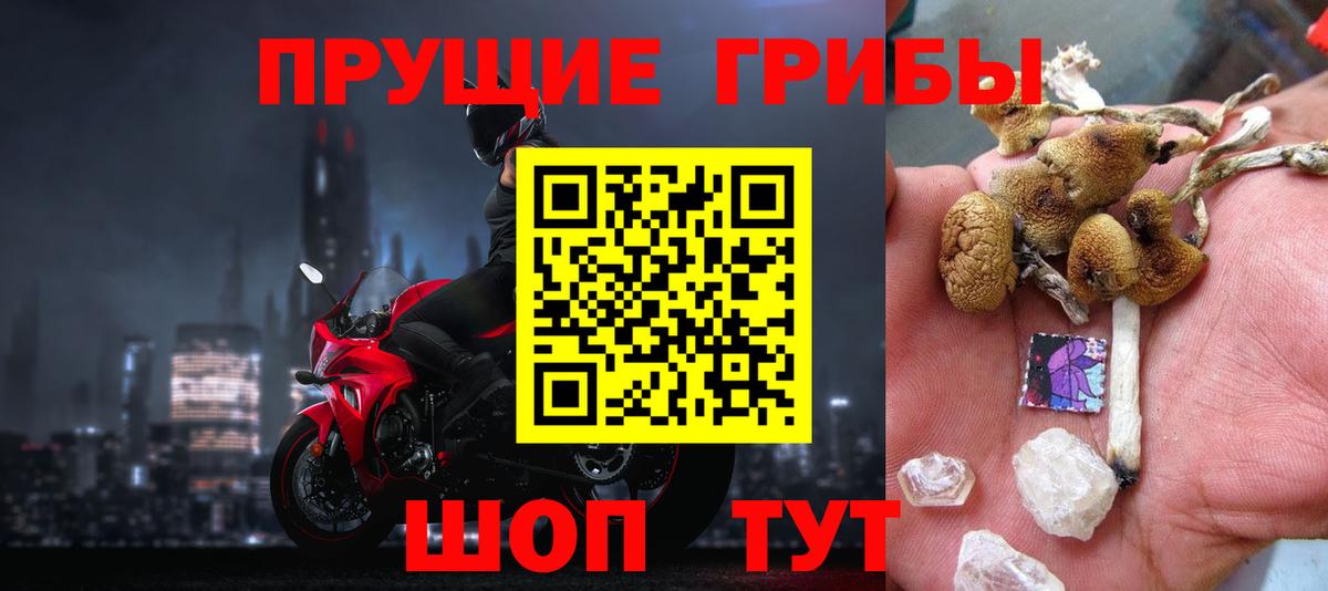 Псилоцибиновые грибы Psilocybine cubensis Городец